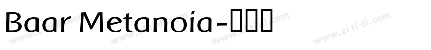 Baar Metanoia字体转换